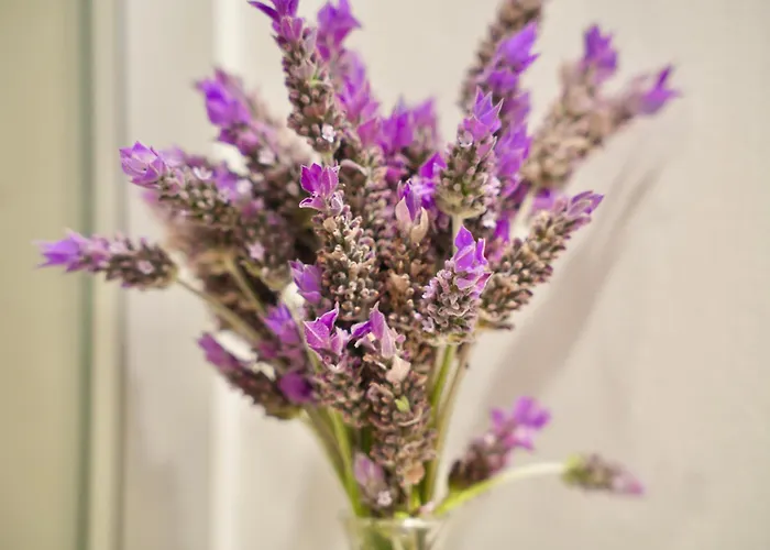 Appartement Minimalist Canteras *