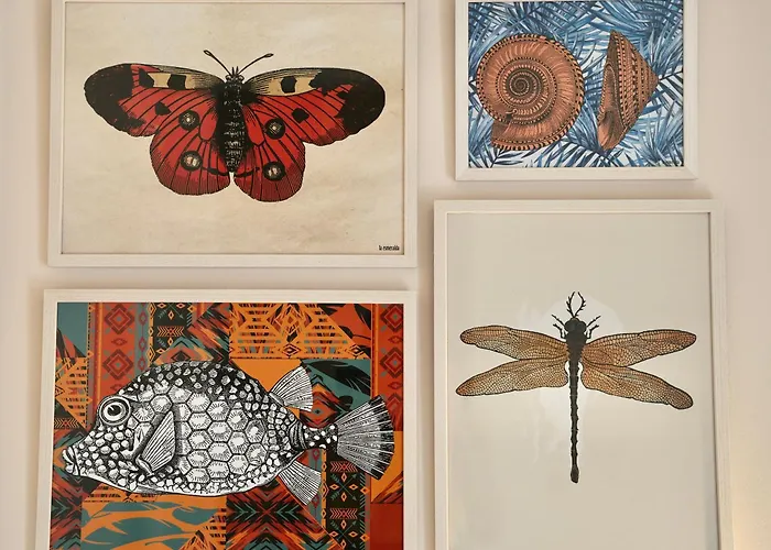 Minimalist Canteras *